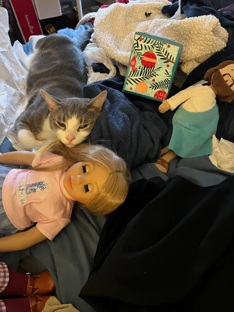 Anne Wilson x Faith Friends Doll