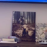 Jesus and Lamb Poster/Canvas