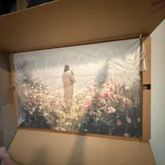 Review picture