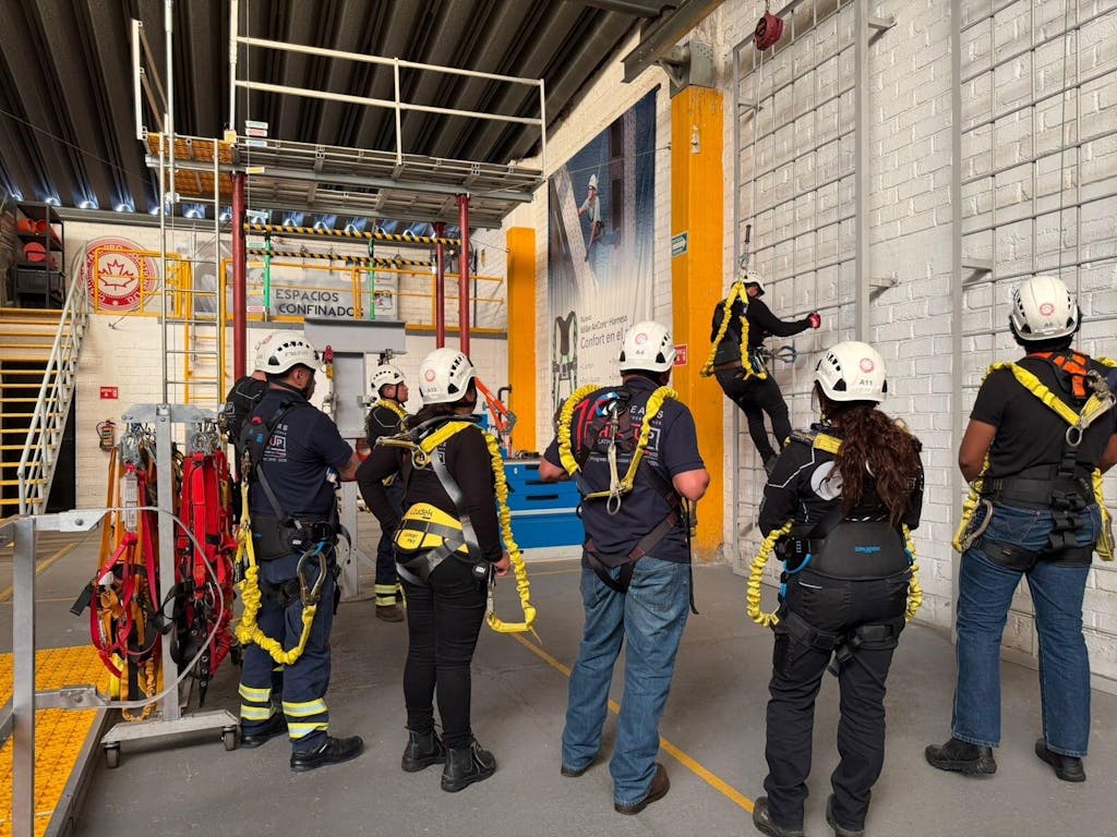 Fall-Pro de México S.A. DE C.V.