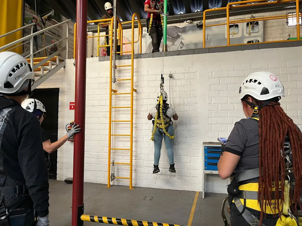 Fall-Pro de México S.A. DE C.V.