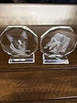 Dog Cat Memorial Gifts for Pet Funeral