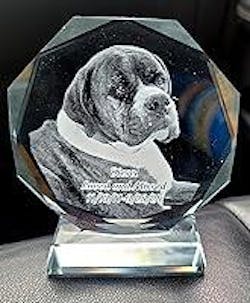 Dog Cat Memorial Gifts for Pet Funeral