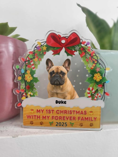 My 1st Christmas With My Forever Home - Custom Photo Pet Acrylic Ornament
