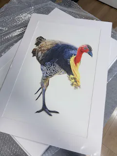 Review picture