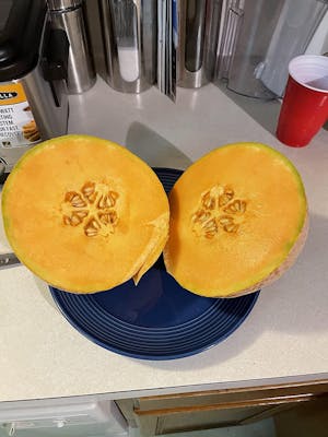 Fruit & Bloom Booster