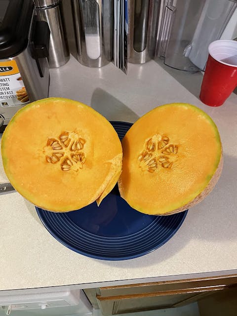 Fruit & Bloom Booster