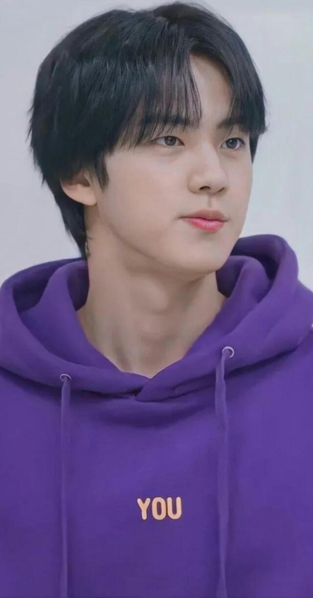 Lilac “You Never Walk Alone” Hoodie Jin BTS Fashion Chingu