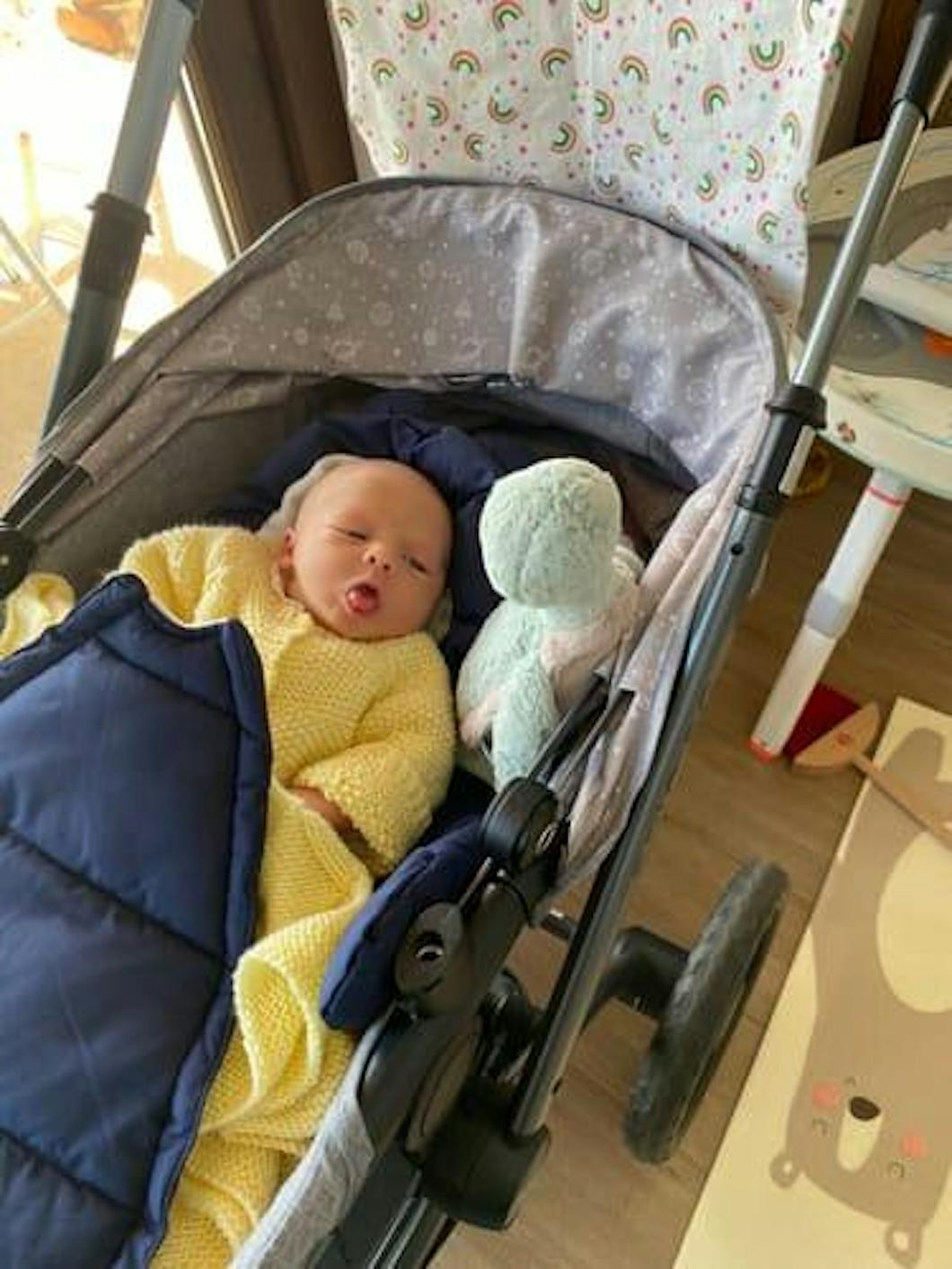 Peluche Bashful Tortuga