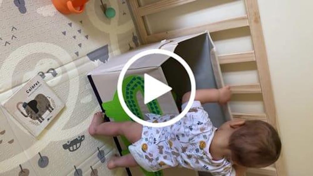 Baúl Juguetes Cocodrilo