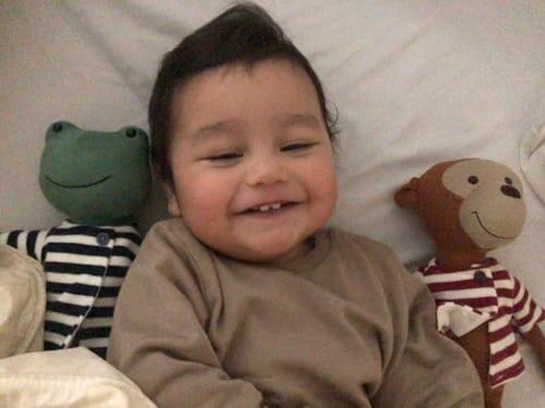 Peluche Rana Francisco