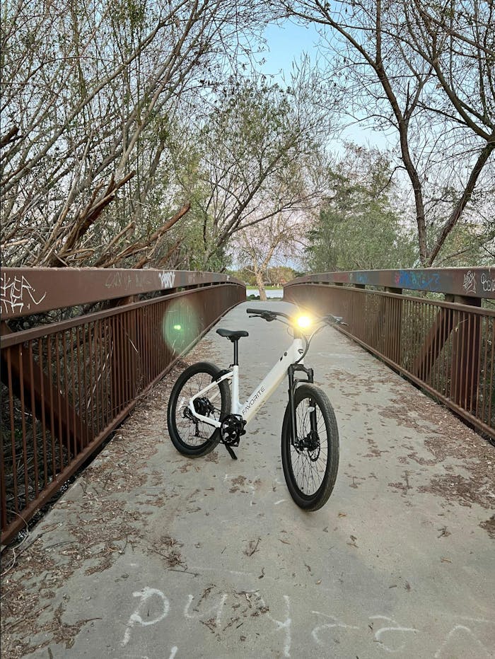 Hybrid Ebike