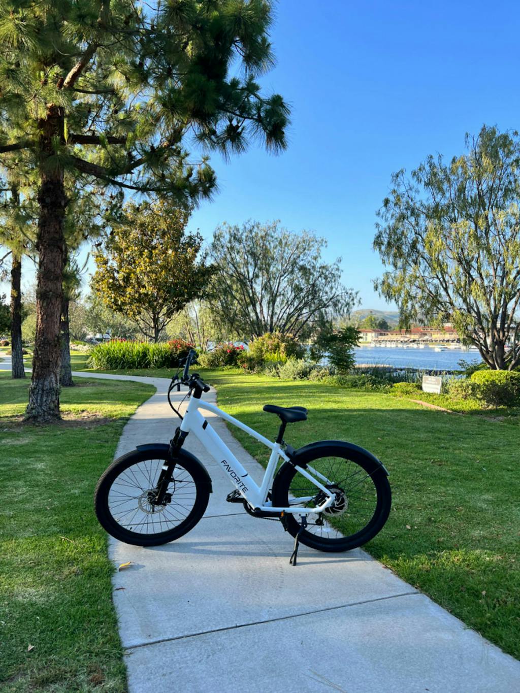 Hybrid Pro XR Ebike