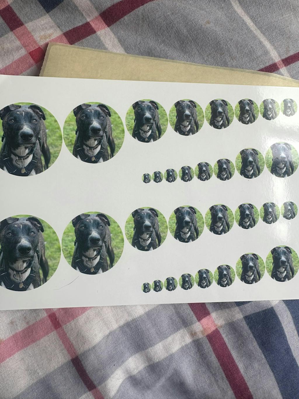 Heart Shaped Locket Photos