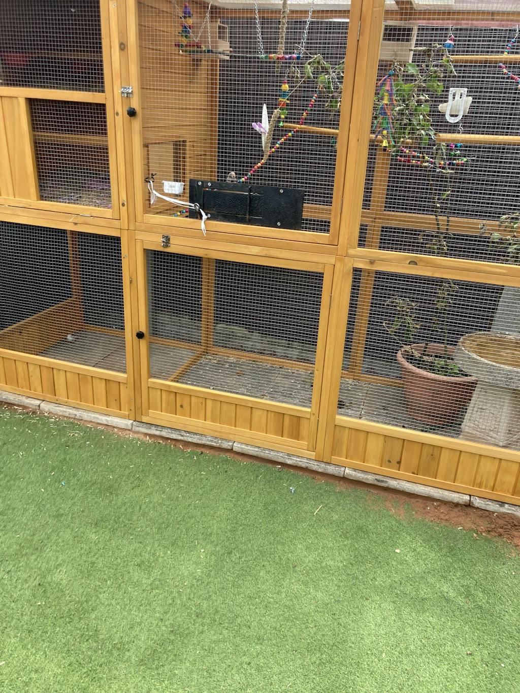 Large Bird Aviary Bird Aviaries Feel Good UK