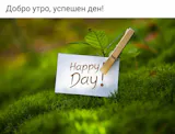 Течен колаген за стави Joint Support MAX 12000 MG - 500 мл