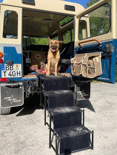 Hundetreppe Auto