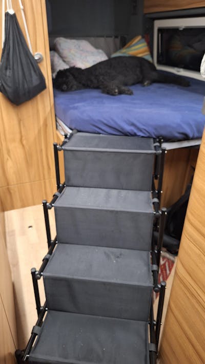 Hundetreppe Auto