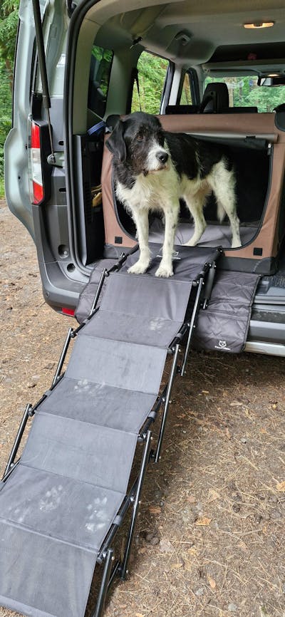 Hundetreppe Auto