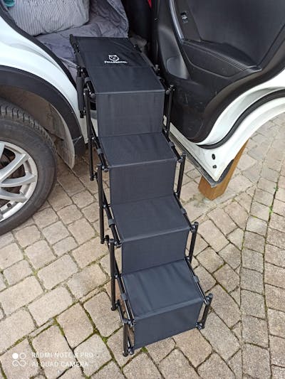 Hundetreppe Rückbank