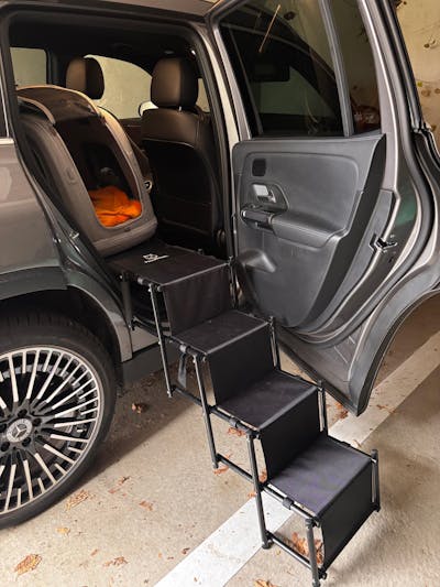 Hundetreppe Rückbank