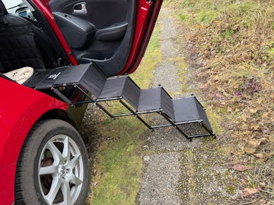 Hundetreppe Rückbank