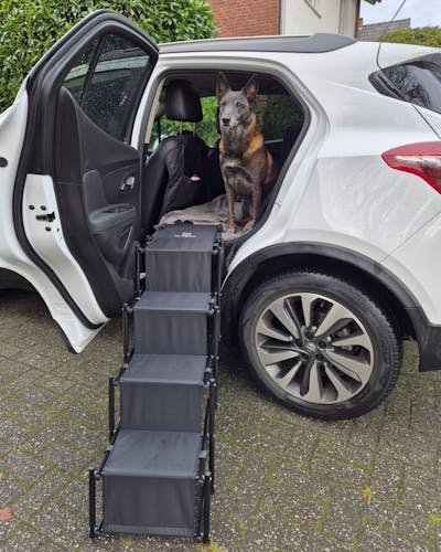 Hundetreppe Rückbank