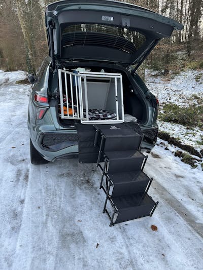 Hundetreppe Auto