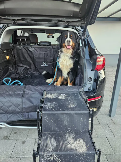 Hundetreppe Auto