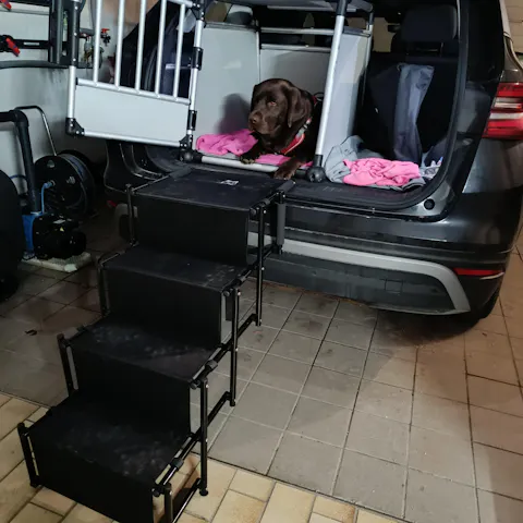 Hundetreppe Auto