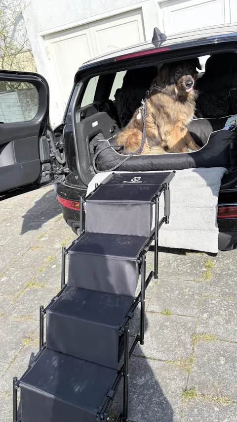 Hundetreppe Auto