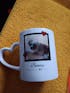 Herz - Individuelle Haustiertasse