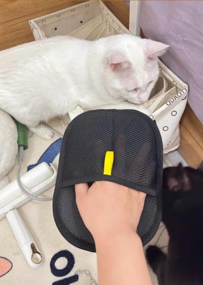 Fellux FurFlash (Classic) | Pet Hair Remover Glove for Clothes, Furniture & More