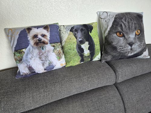 Personalisiertes Kissen -  Kissen mit deinem Liebling drauf