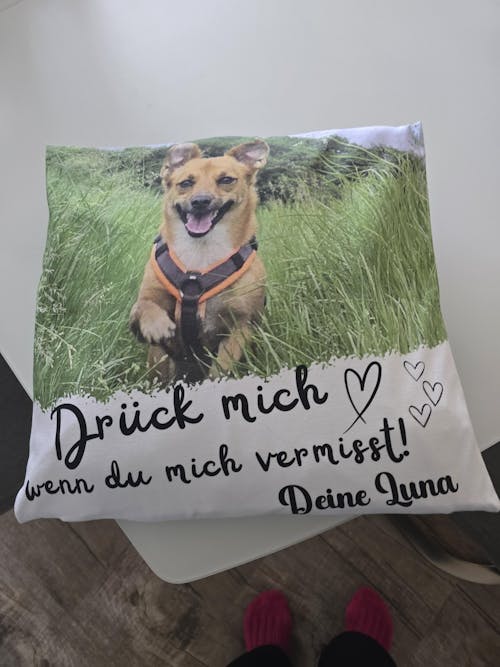 Personalisiertes Kissen - Drück mich wenn ...