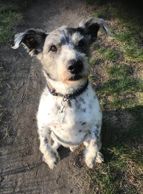 Personalisiertes Kissen - Drück mich wenn ...