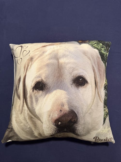 Personalisiertes Kissen -  Kissen mit deinem Liebling drauf