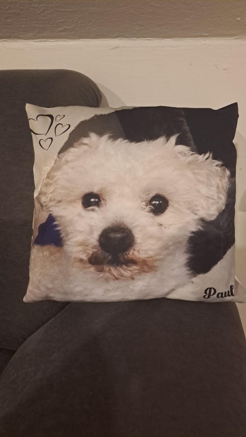 Personalisiertes Kissen -  Kissen mit deinem Liebling drauf