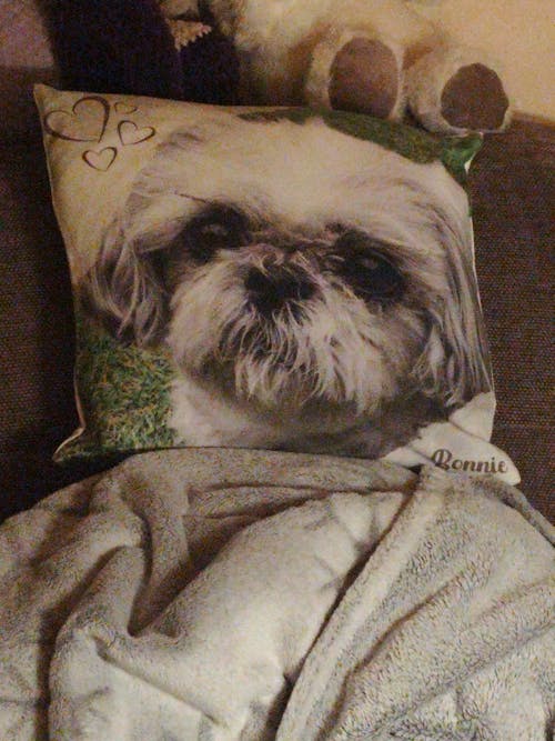 Personalisiertes Kissen -  Kissen mit deinem Liebling drauf