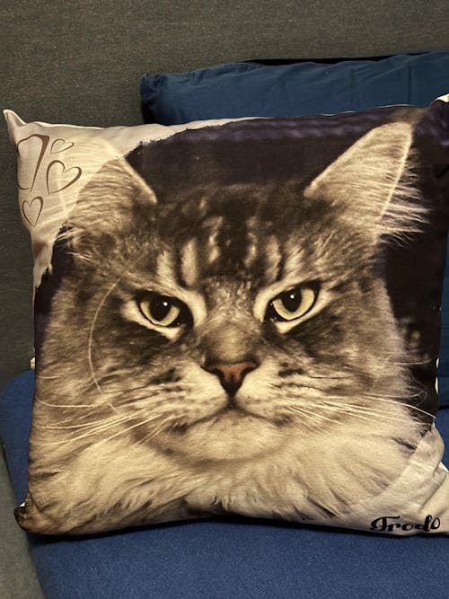 Personalisiertes Kissen -  Kissen mit deinem Liebling drauf