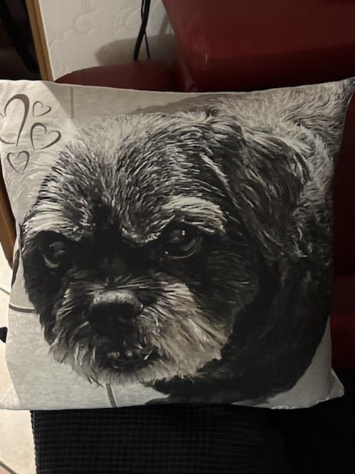 Personalisiertes Kissen -  Kissen mit deinem Liebling drauf