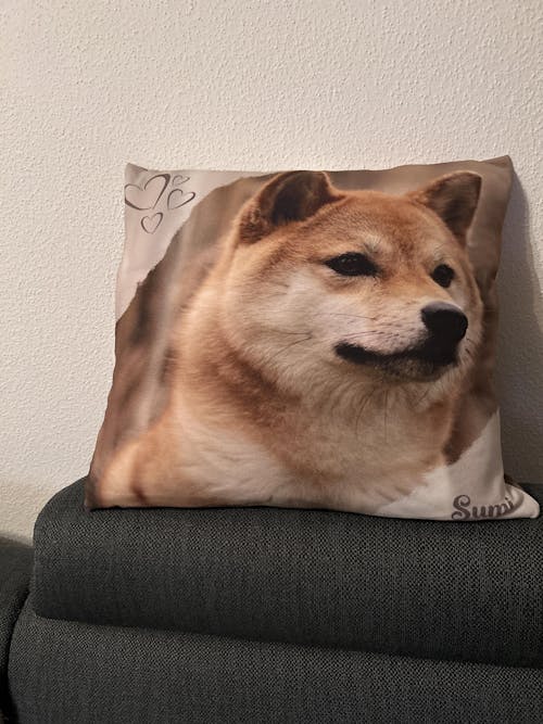 Personalisiertes Kissen -  Kissen mit deinem Liebling drauf