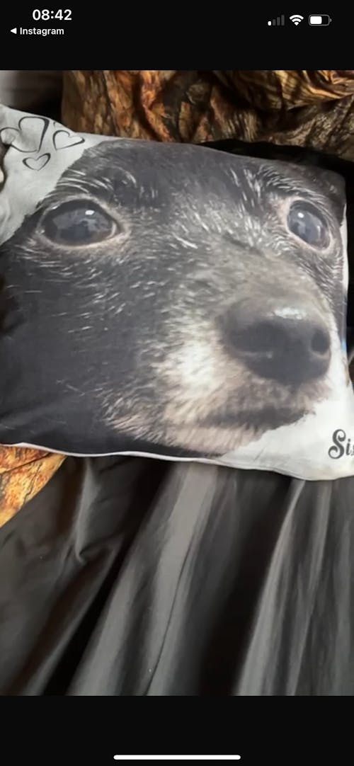 Personalisiertes Kissen -  Kissen mit deinem Liebling drauf