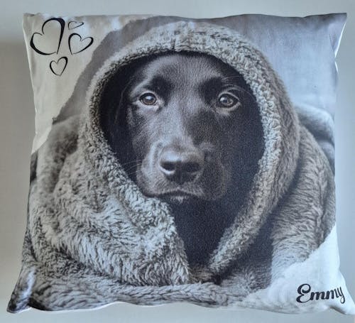 Personalisiertes Kissen -  Kissen mit deinem Liebling drauf