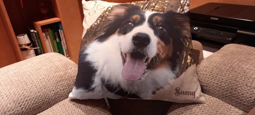 Personalisiertes Kissen -  Kissen mit deinem Liebling drauf