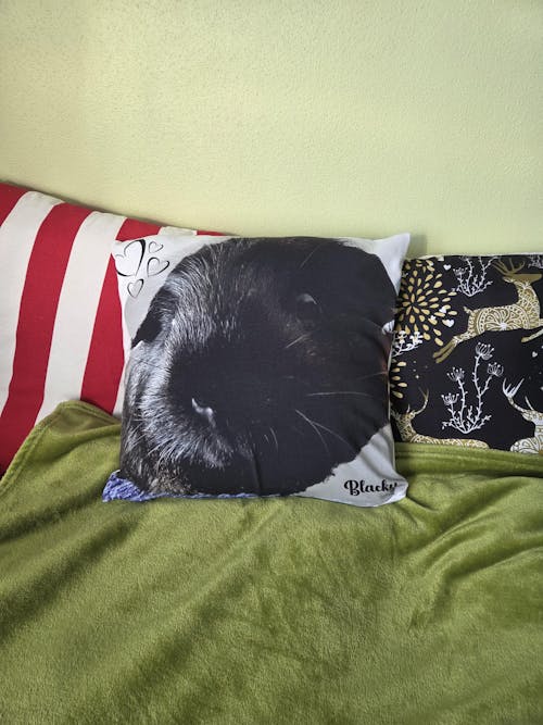 Personalisiertes Kissen -  Kissen mit deinem Liebling drauf