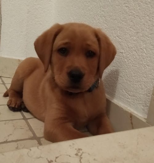 Personalisiertes Poster – Kunstportrait "Street Art Stil"