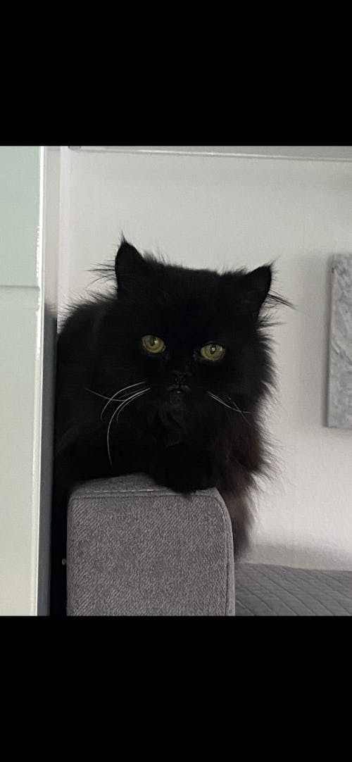 Personalisiertes Kissen - Drück mich wenn ...