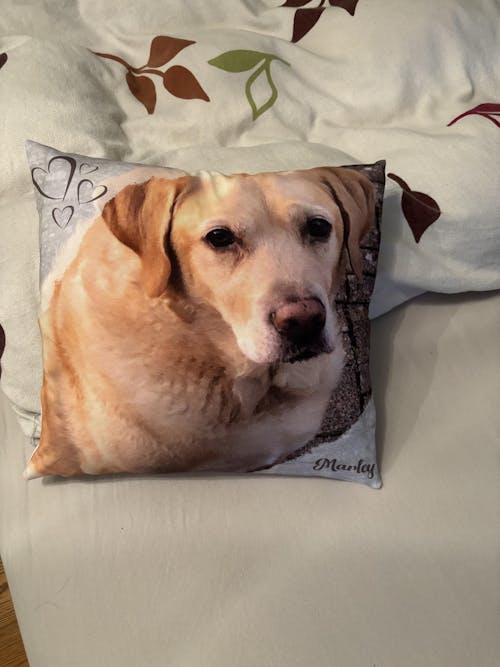 Personalisiertes Kissen -  Kissen mit deinem Liebling drauf