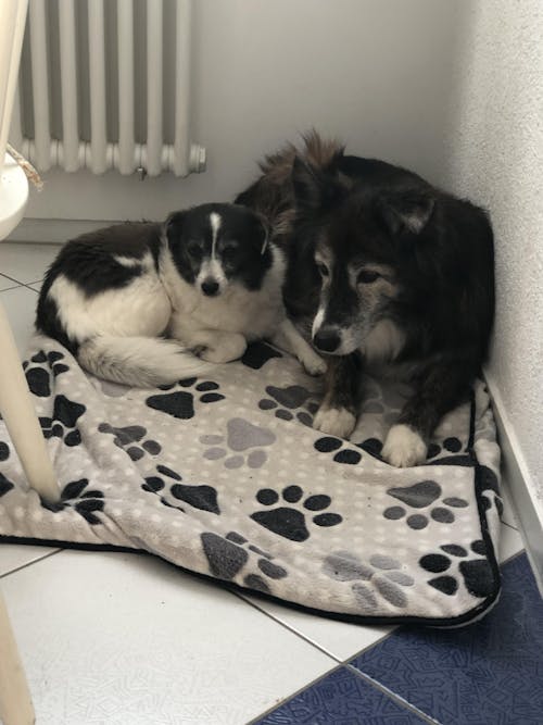 Personalisiertes Poster - "Love"